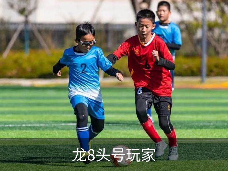 了解龙8头号玩家